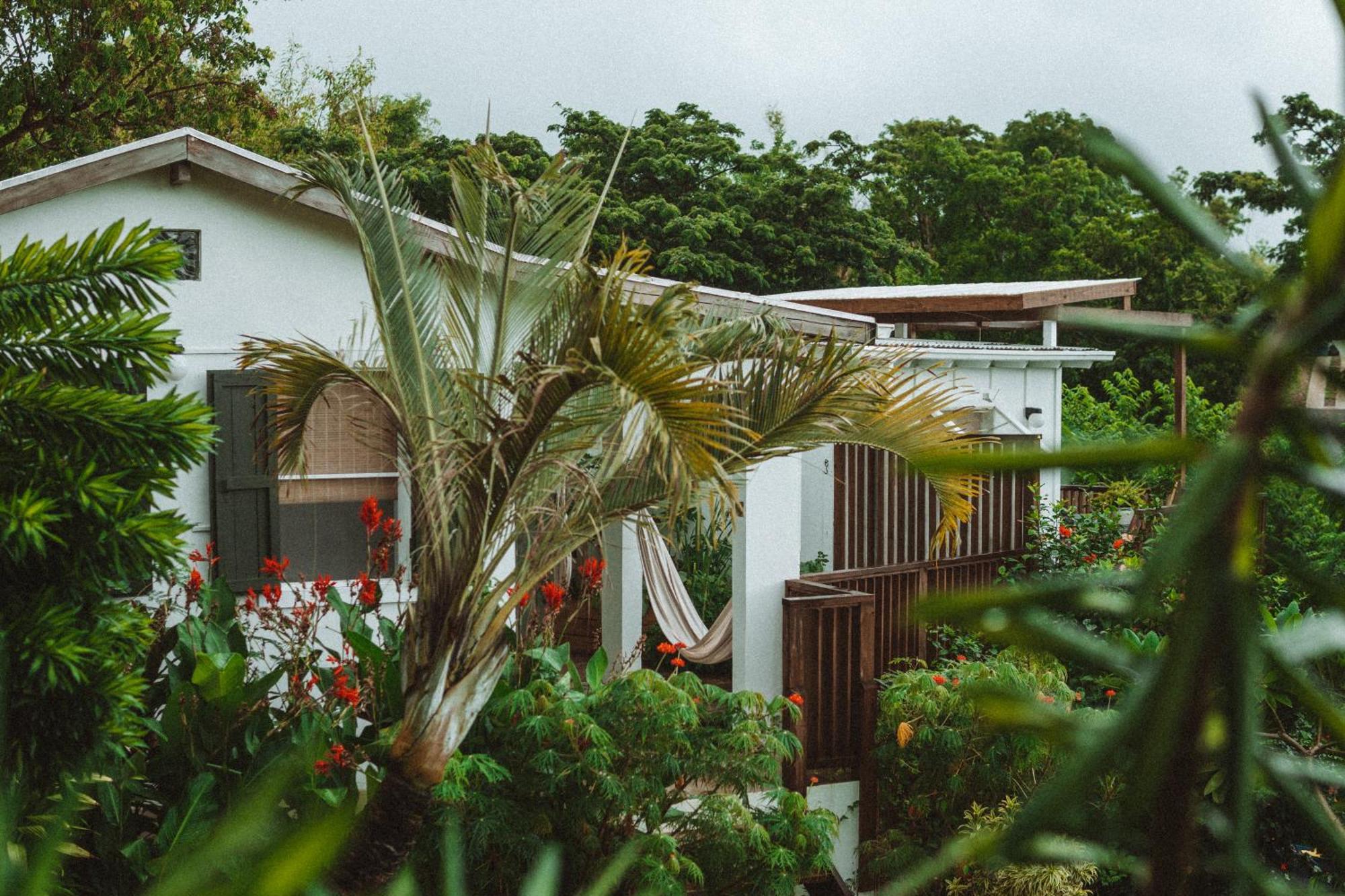 Finca Victoria ビエケス エクステリア 写真